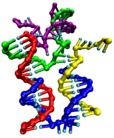 DNA tweezers